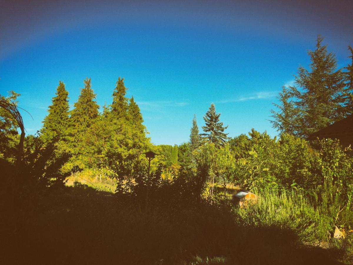 La Montagne Sud Bed & Breakfast Allemans Exterior foto
